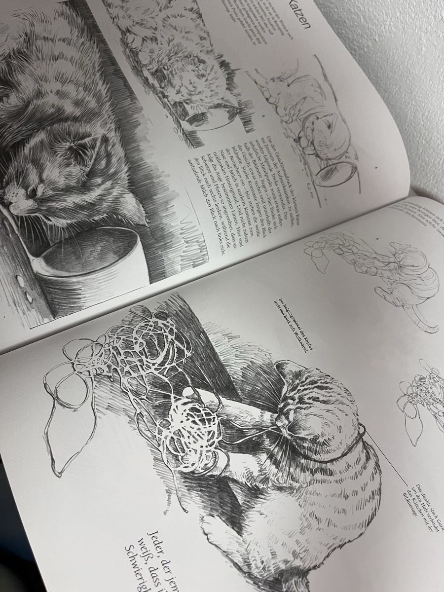 Libri: Die Kunst des Zeichnens – Nuovo (secondo la descrizione) da Dintikon venduto da Xenon13 2