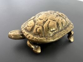 Vintage Messing Schildkröte Dose – Schmuckschatulle / Ascher