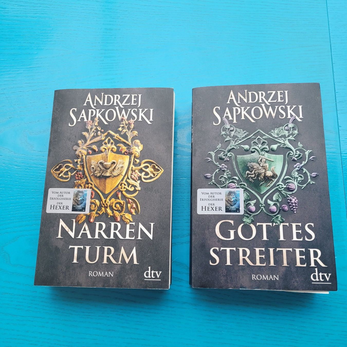 Libri: Andrzej Sapkowski- Narrenturm/ Gottesstreiter – Usato da SCHÜBELBACH venduto da CoKaHa