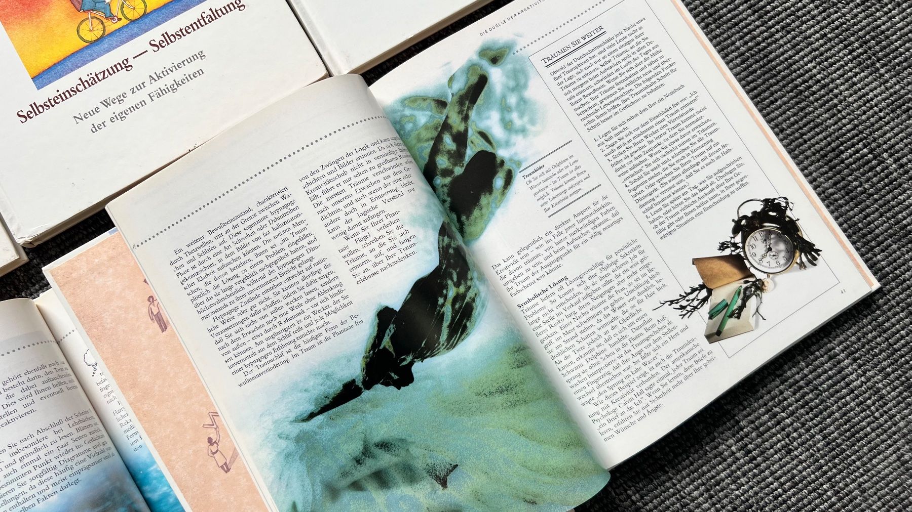 Libri: 6 Mindpower Bücher Lebenshilfe Ratgeber Selbsthilfe – Usato da Schmerikon venduto da Kneisel 3