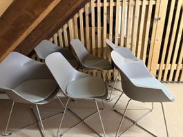 6 Esszimmerstühle inklusive Sitzpolster