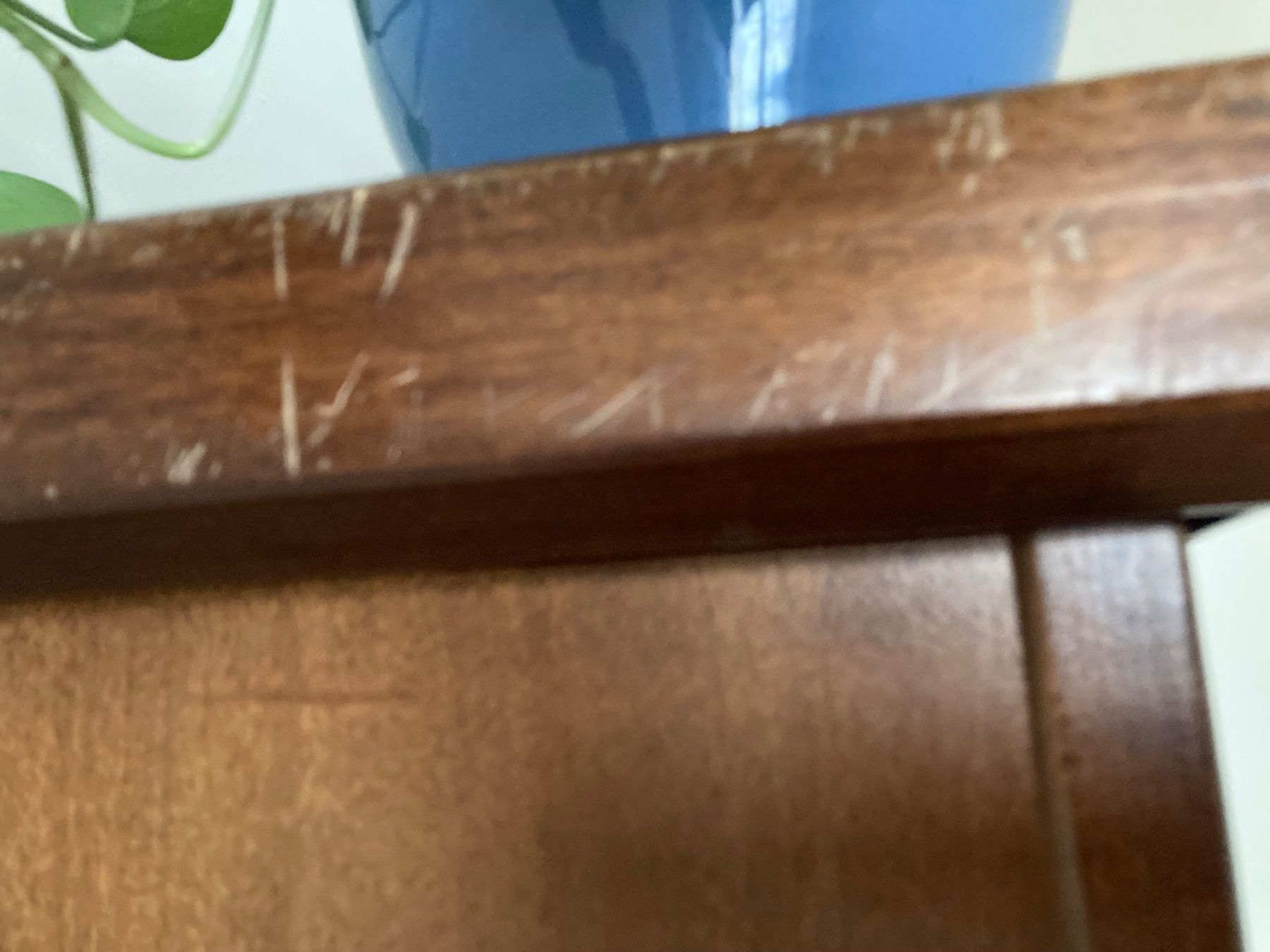 Vetrine: Vitrine / Schrank – Difettoso da Winterthur venduto da chickenquincy 5