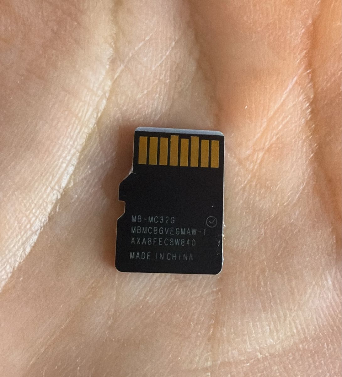 Samsung Memory Units & Memory Cards: Samsung MicroSD EVO Plus 32GB - Nintendo Switch – Gebraucht aus Ehrendingen von bubulence 1