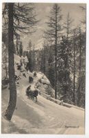 BERNINAPOST Pferdeschlitten Post