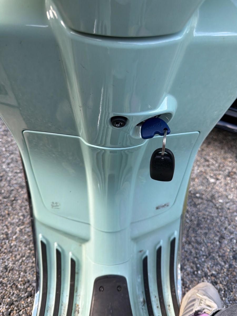 Piaggio Strada: Vespa Primavera 125 – Usato da Heiden venduto da jennyharb 7