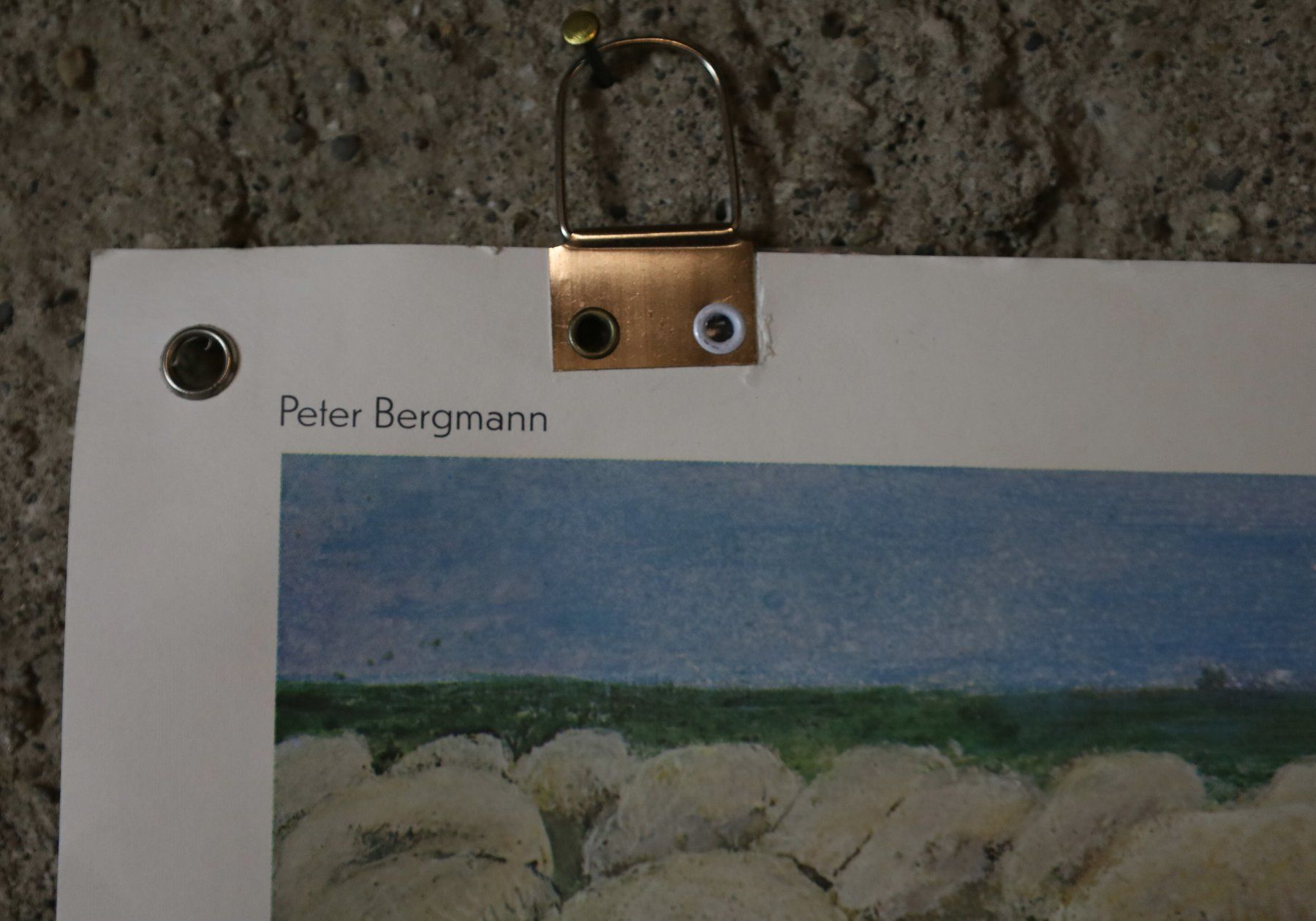 Foto & Immagini: Schulwandbild "Hund" Peter Bergmann – Usato da Birrwil venduto da brandschatz_birrwil 5