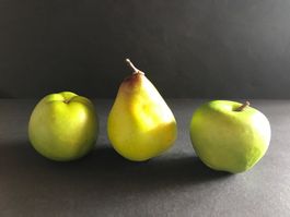 Früchte Birne Williams Äpfel Granny Smith Herbst 7x7 cm 3 St