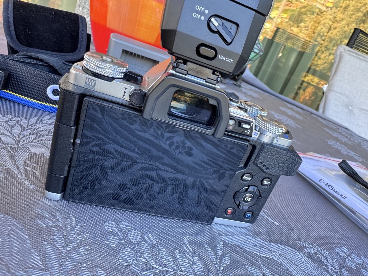 Olympus Fotocamera: Olympus OM-D E-M5 Mark II Mirrorless Camera with Flash – Usato da Viganello venduto da NicodemusRoger 4
