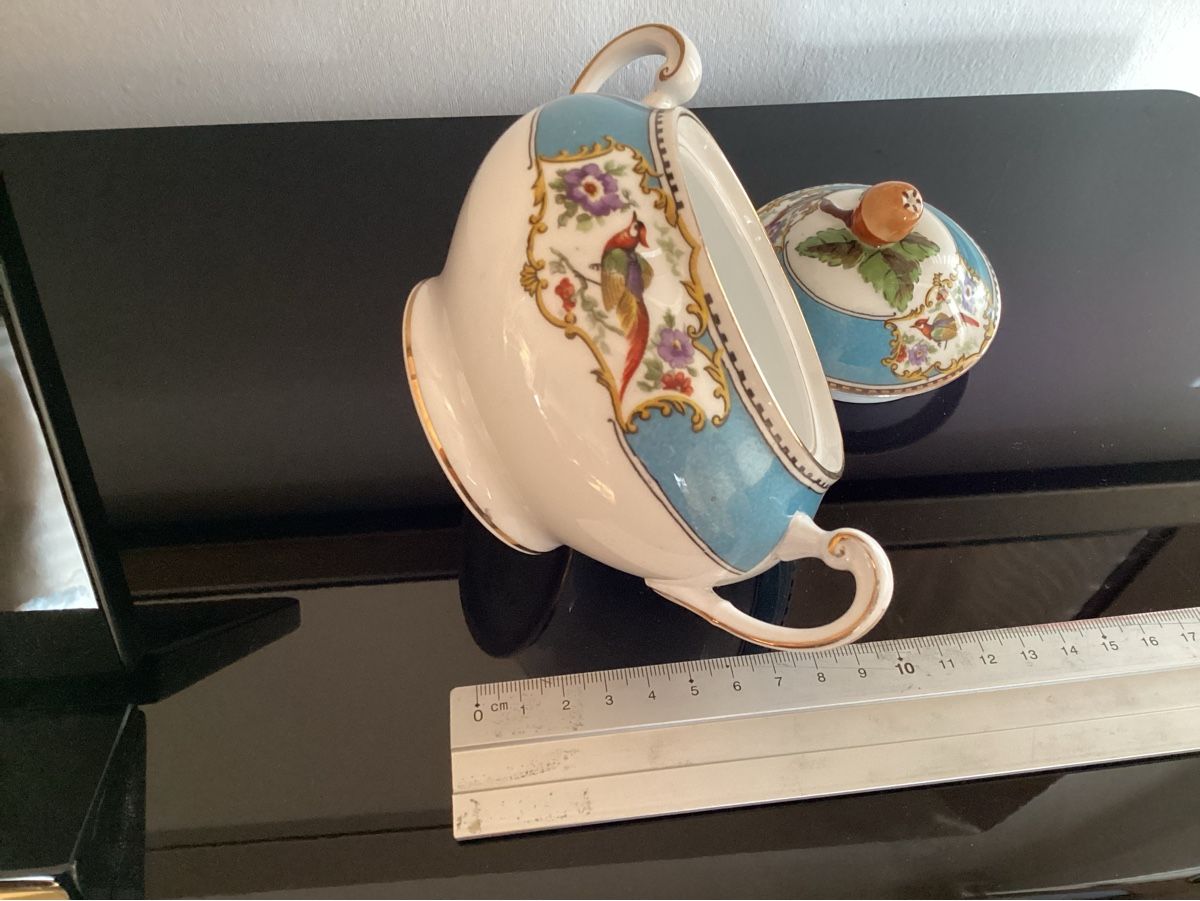 Ciotole: Porcelaine – Usato da fribourg venduto da iris18 4