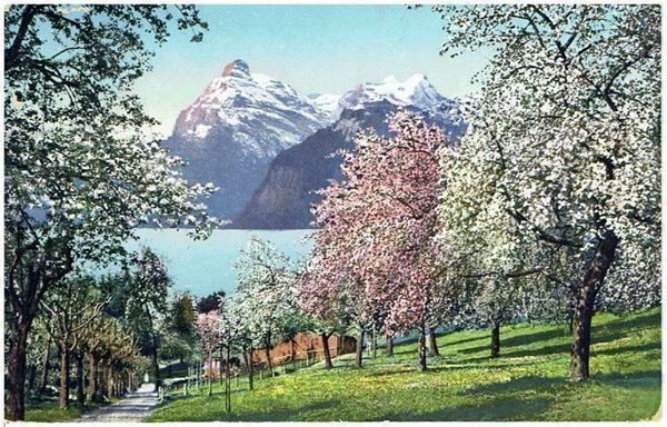 Cartoline postali: Pilatus, 1916 – Usato da Flims - Dorf venduto da Stagediver