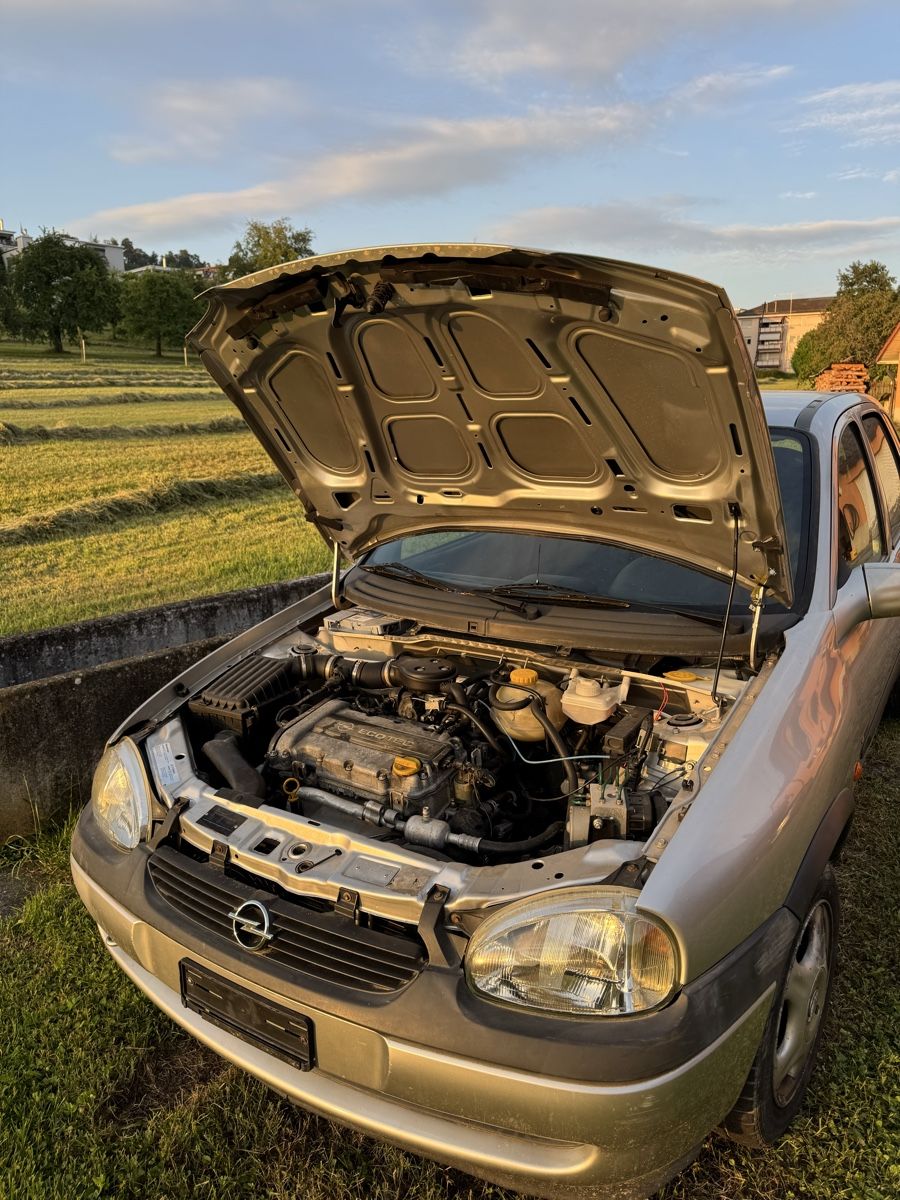 Opel Automobili: Opel Corsa B 1.2  – Difettoso da Uetikon am See venduto da benji99420 3
