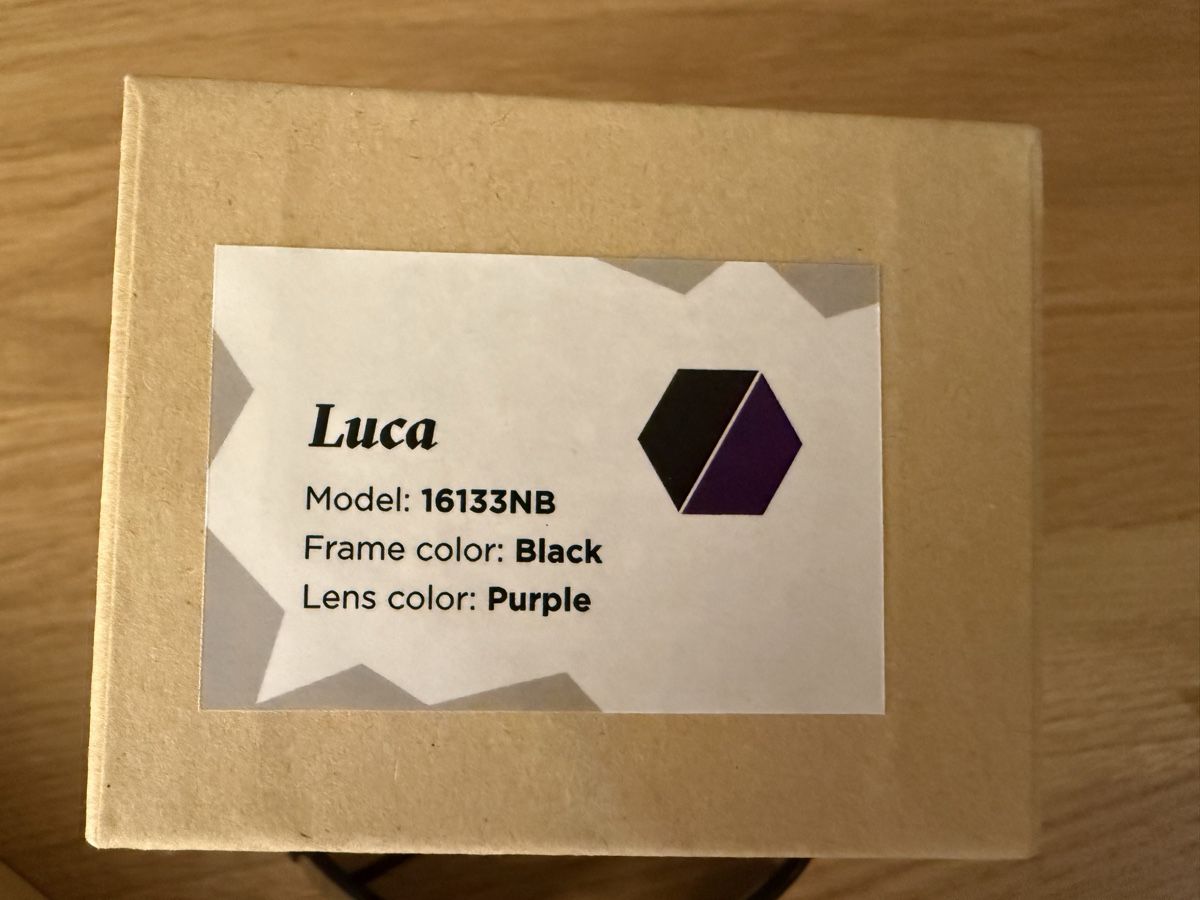 Occhiali & Lenti: CHPO Sonnenbrille unisex – Nuovo (secondo la descrizione) da Hedingen venduto da julesli 1