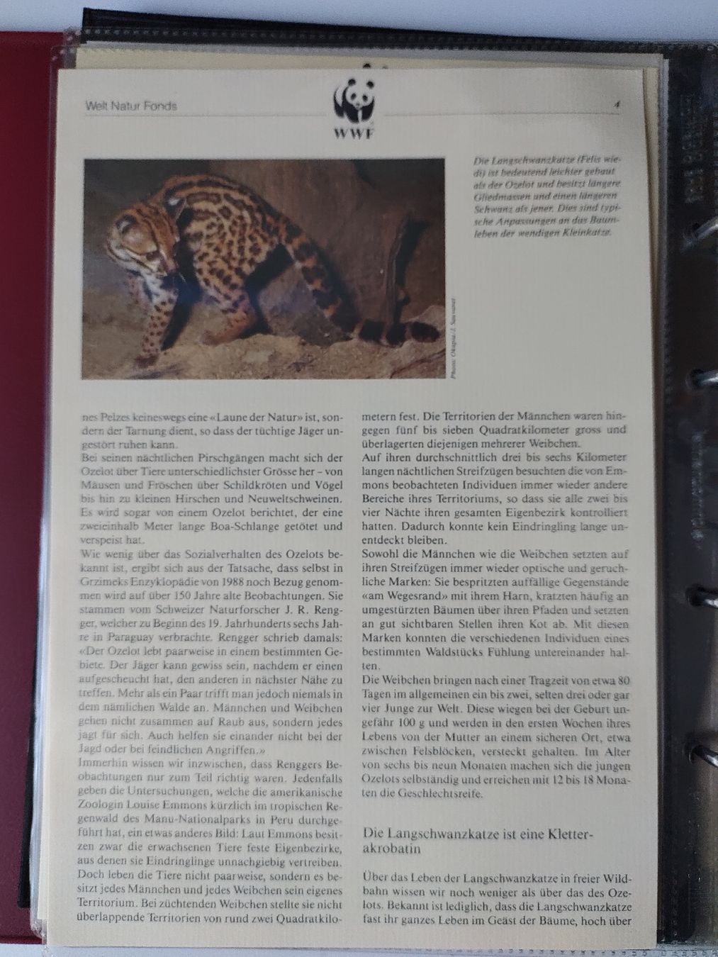 Tutti i francobolli: WWF Ozelot Langschwanzkatze Briefmarken Sammlung – Nuovo (secondo la descrizione) da Greifensee venduto da Retepw 3
