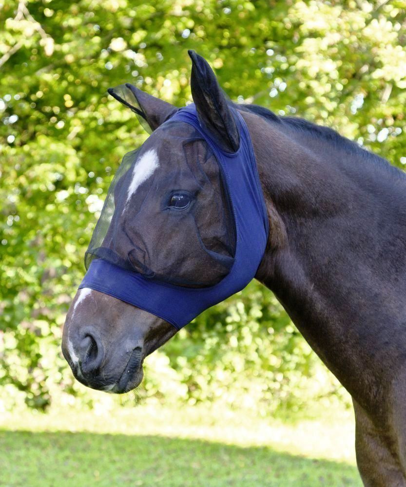 Altro in Accessori per animali: Pferde-Fliegenschutzmaske FinoStretch – Nuovo e nell'imballaggio originale da St. Gallen venduto da schnaeppchen-preise 2