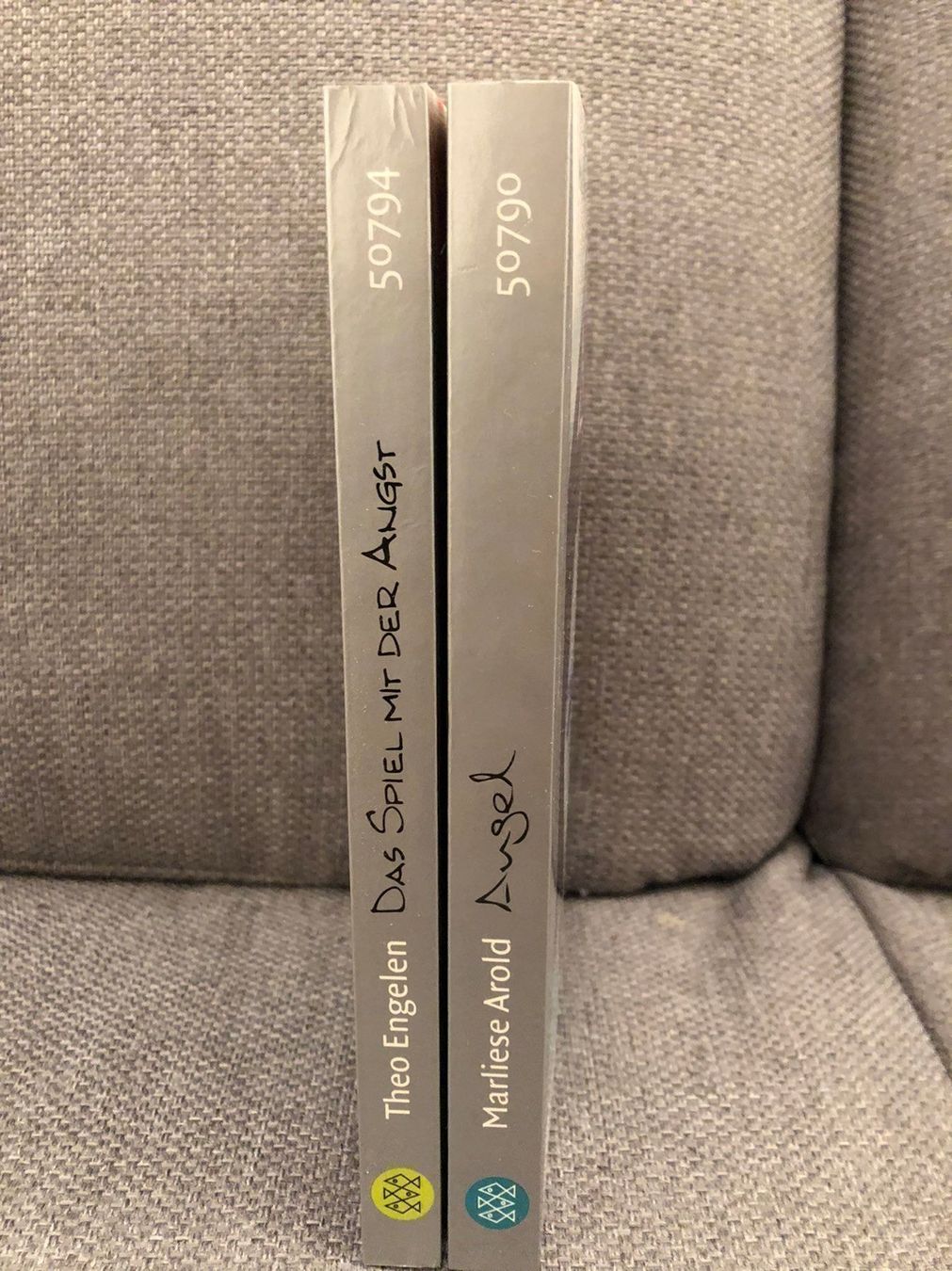 Libri: 2 Bücher Fischerverlag Jugend – Usato da Lupsingen venduto da sta_wgg5