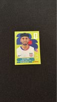 Panini - Ricardo Pepi - USA 18 - WM 2026