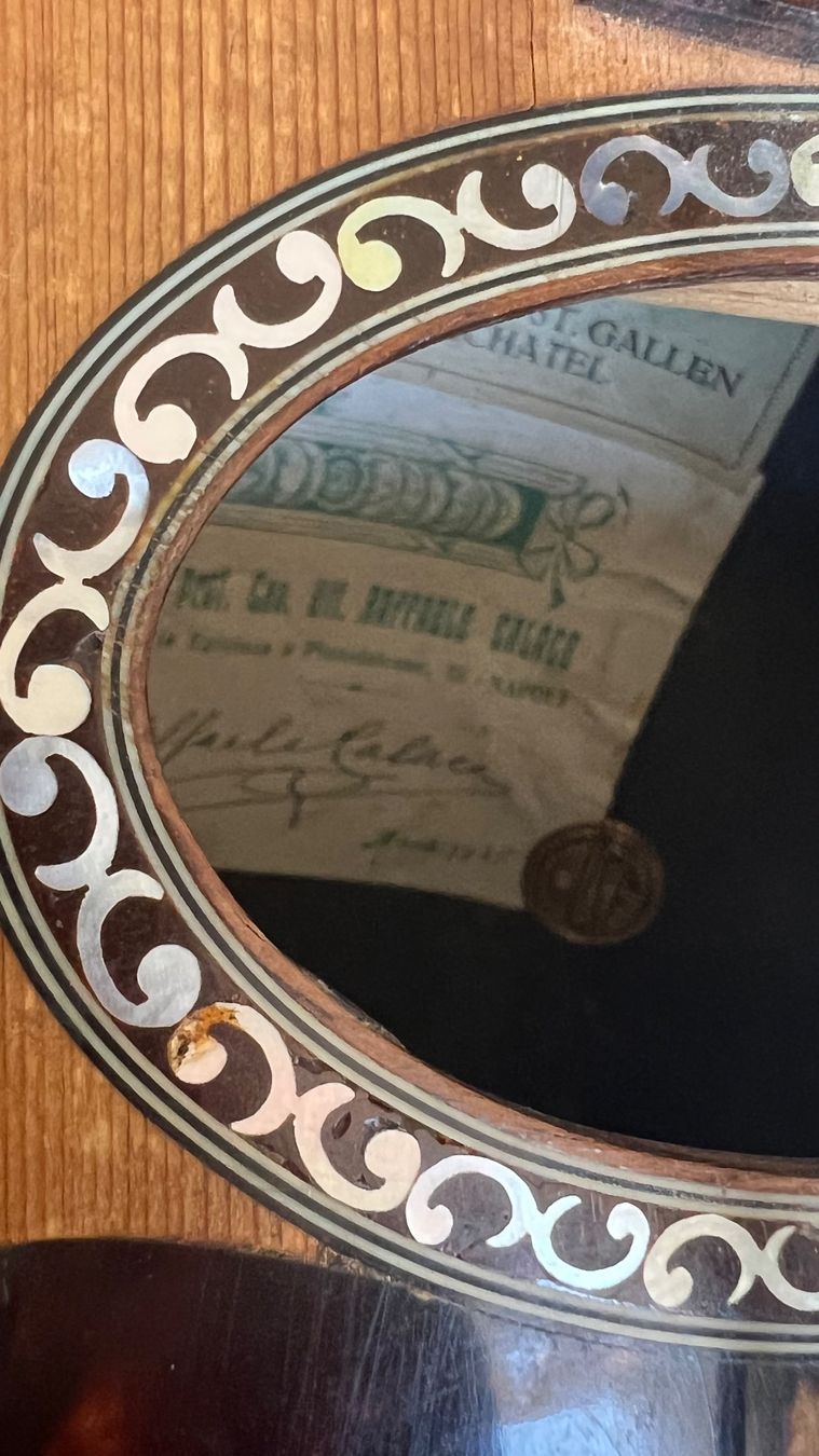 Strumenti musicali: Mandoline Raffaele Calace 1925 – Usato da Luzern venduto da TENDIMO 4