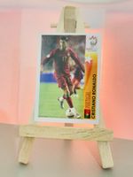 Sticker Cristiano Ronaldo Portugal Euro 2008 Panini 509