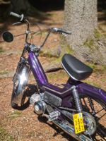Puch Maxi S, Auberginen-violet