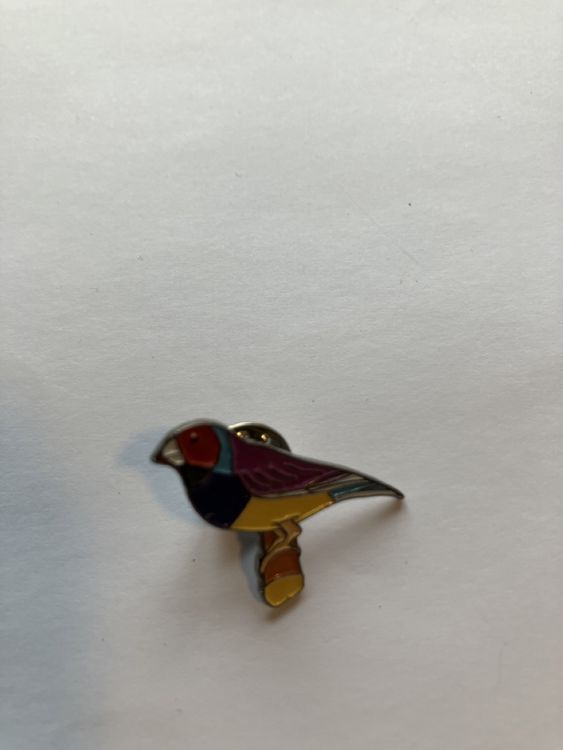Pin Vogel | Kaufen auf Ricardo
