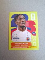 PANINI FIFA 2026 HAI 14