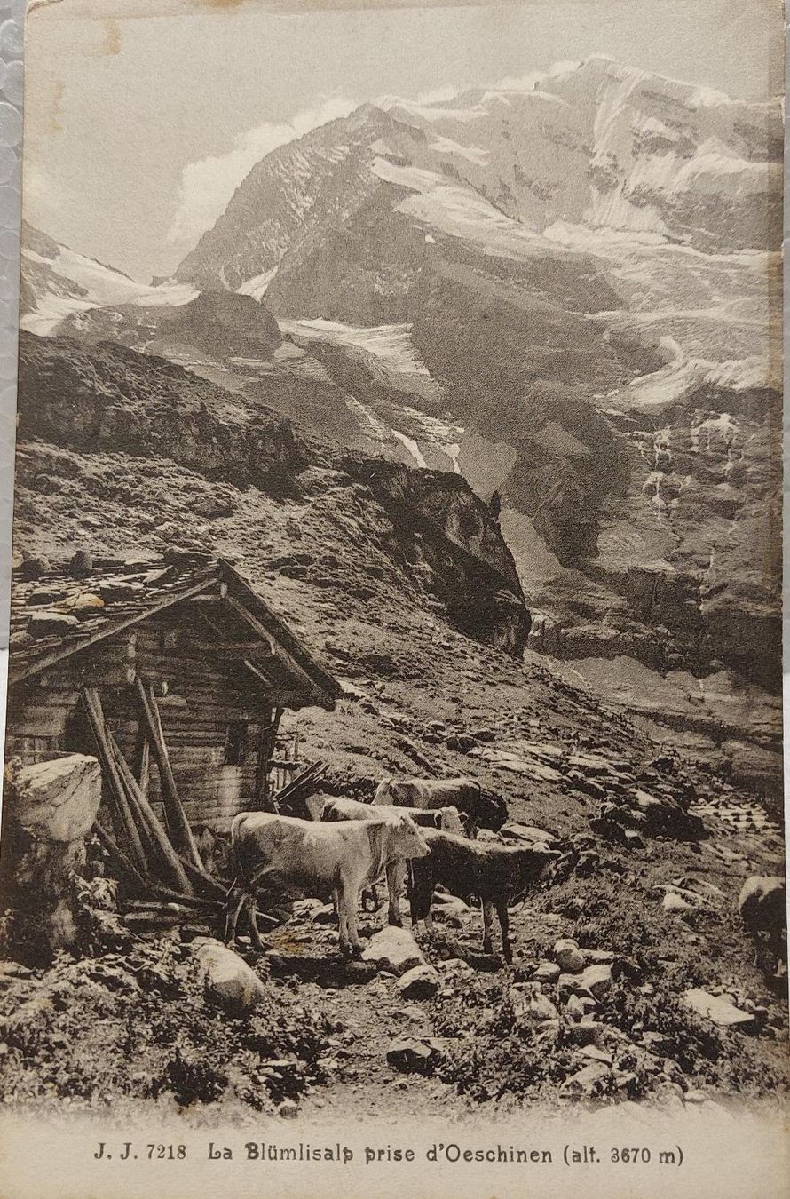 Cartoline postali: BLÜMLISALP  vom Oeschinen – Usato da Delémont venduto da Domdom1