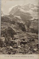 BLÜMLISALP  vom Oeschinen