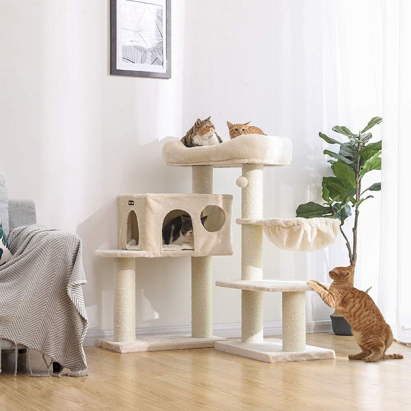 Katzenbaum - Kratzbaum: FEANDREA Kratzbaum 112 cm Beige – Neu und originalverpackt aus Bottighofen von zaap 1