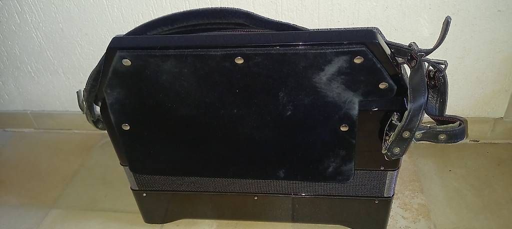 Strumenti musicali: Zupan Akkordeon Alpe V – Usato da Buochs venduto da von_mzm8 3