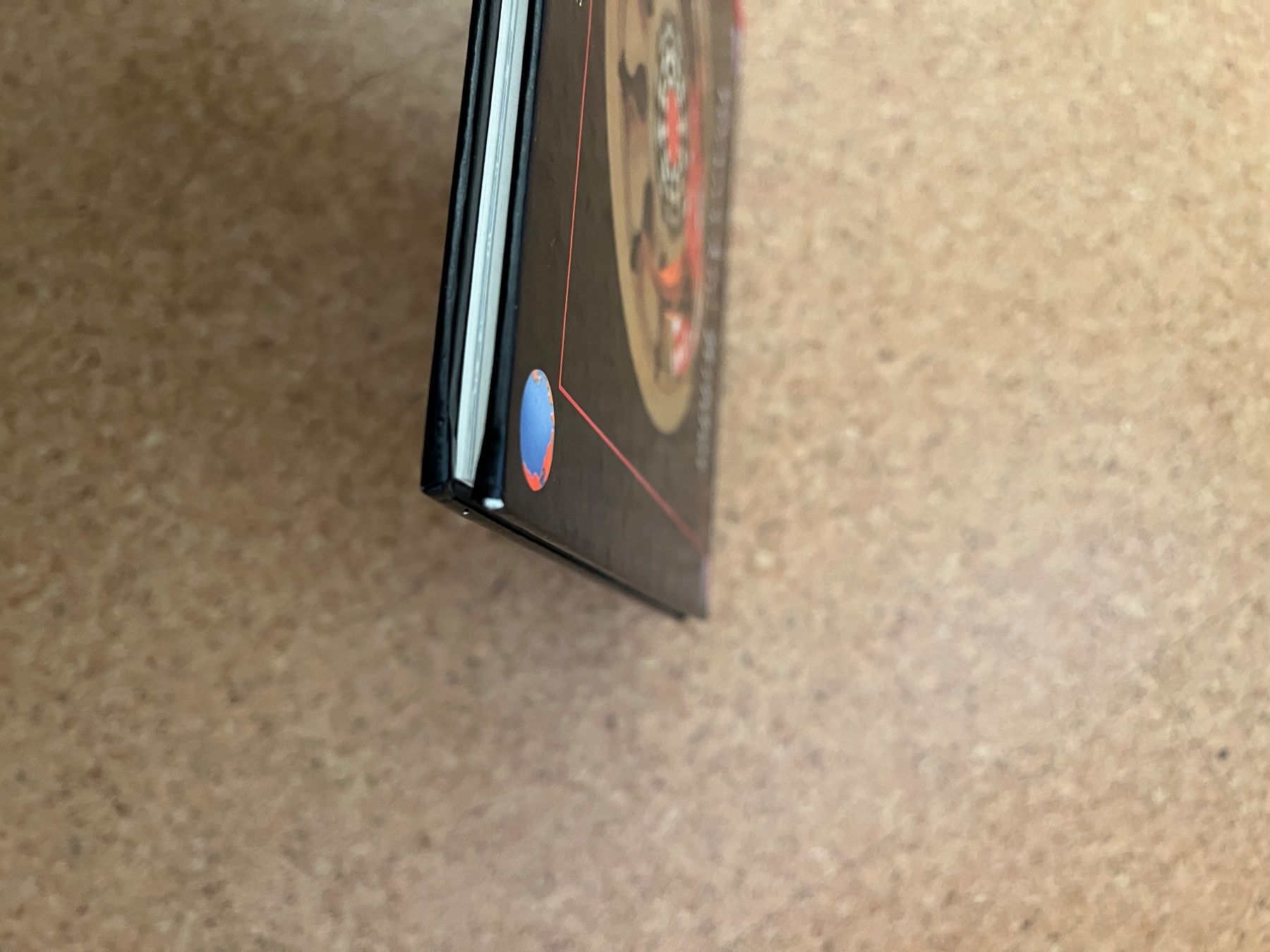 Libri: Buch "Versteckte Bilder", Mondo-Verlag – Usato da Grosswangen venduto da Vita500 4
