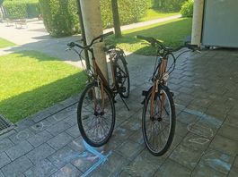 Damen-Velo