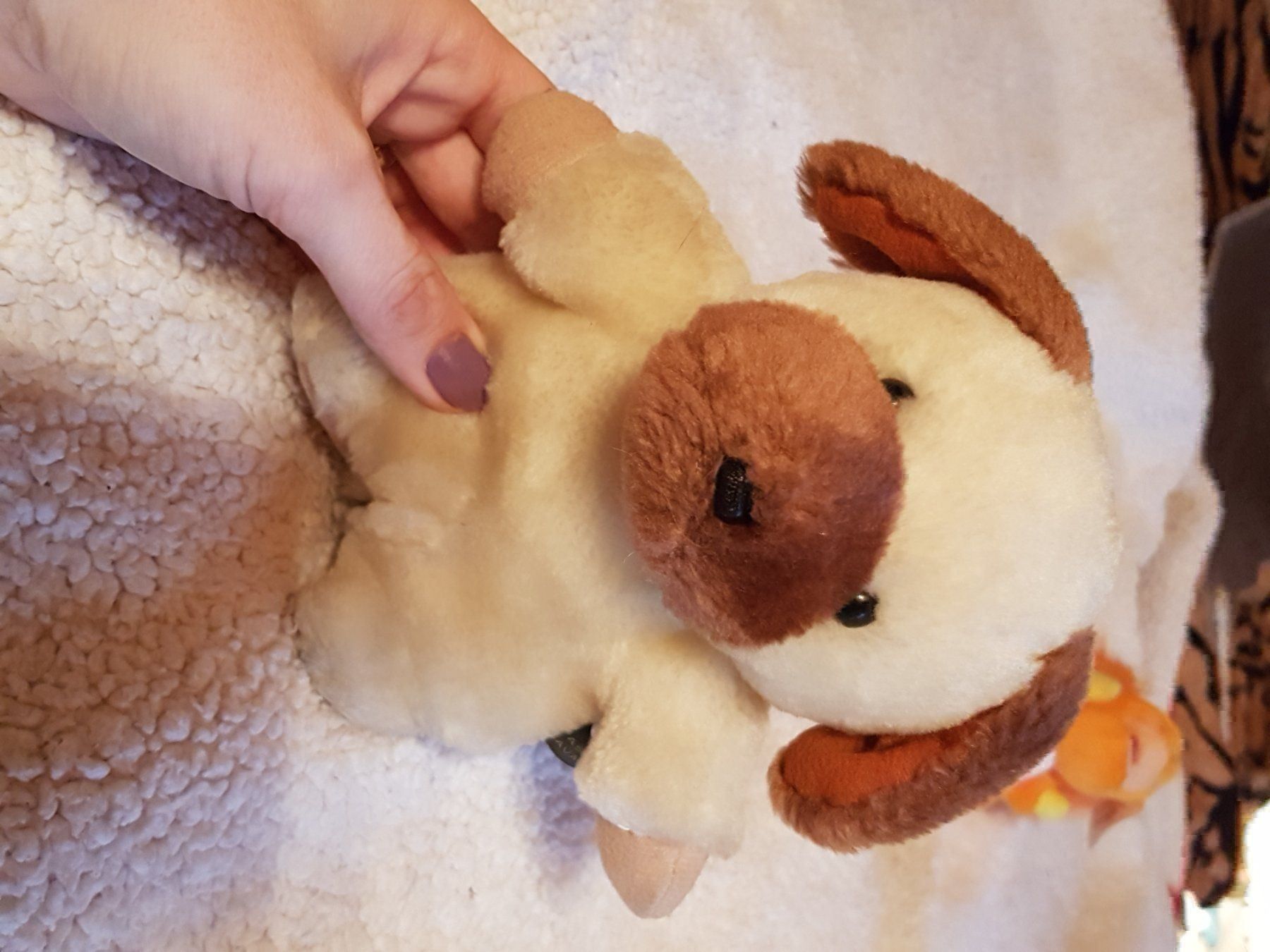 Giocattoli: Kuscheltieren Paket, siehe Bild – Usato da Döttingen venduto da Verkauf 5