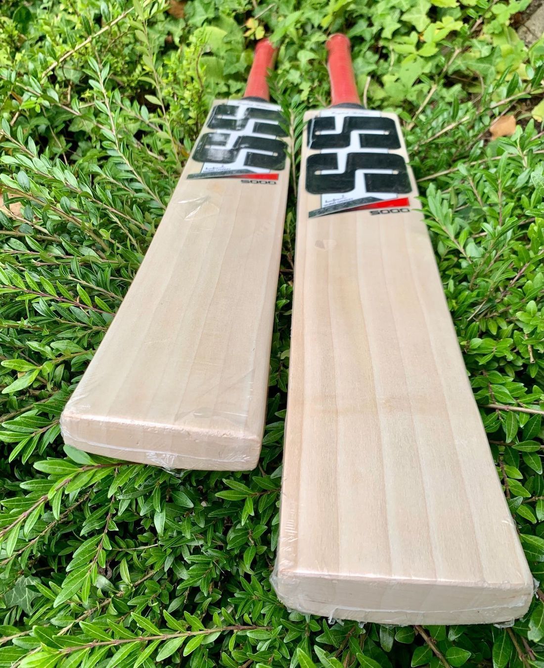 Articoli in legno: Cricket Bats SS Master 5000 SH – Nuovo e nell'imballaggio originale da Luzern venduto da ronymamuni 6