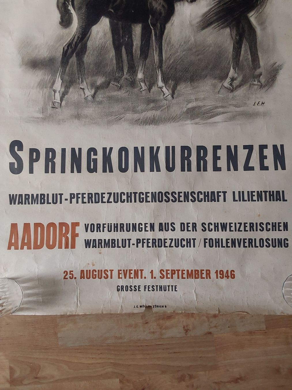 Grafica & Litografie: Hugentobler Iwan 69x100cm. Plakat  – Usato da Steinach venduto da Chilli1957 1