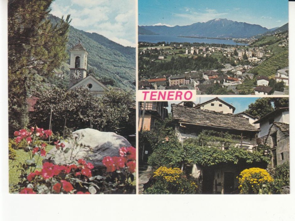 Cartoline postali: Tenero 1983 – Usato da Bürglen TG venduto da StampGraf