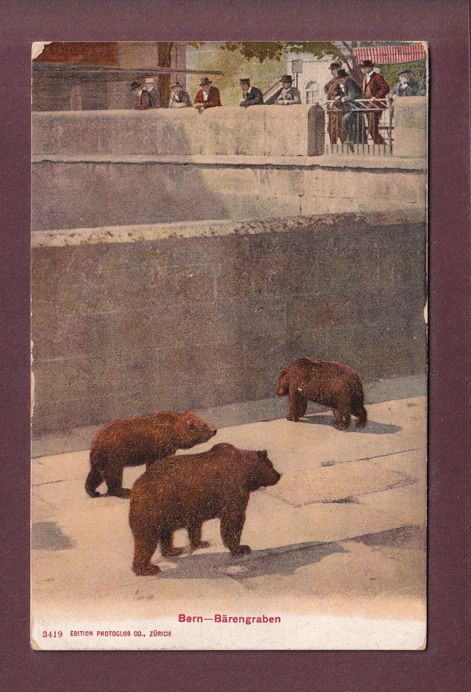 Ansichtskarten: BERN - Bärengraben - 1919 – Gebraucht aus Pully von nicecards