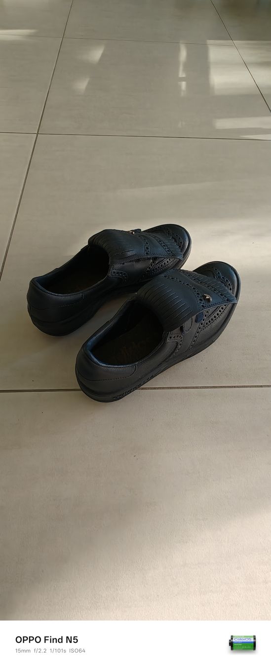 Damenschuhe: Adidas Golfschuhe navy blue – Neu (gemäss Beschreibung) aus stallikon von Dalacoke 1