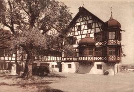 Drachenburg in Gottlieben