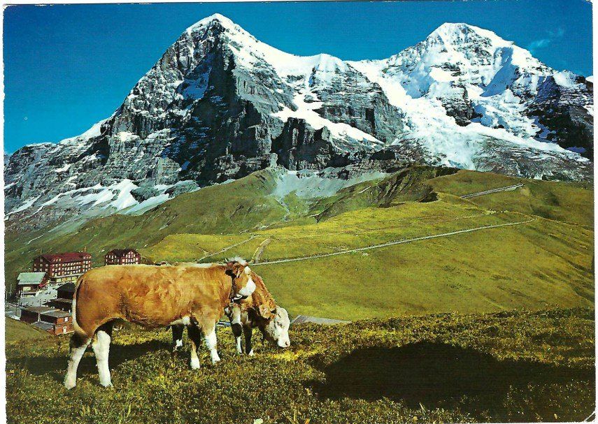Ansichtskarten: AK Kleine Scheidegg, Eiger, Mönch - BE – Gebraucht aus Rheinfelden von wil_m7gh