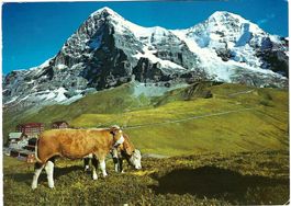 AK Kleine Scheidegg, Eiger, Mönch - BE