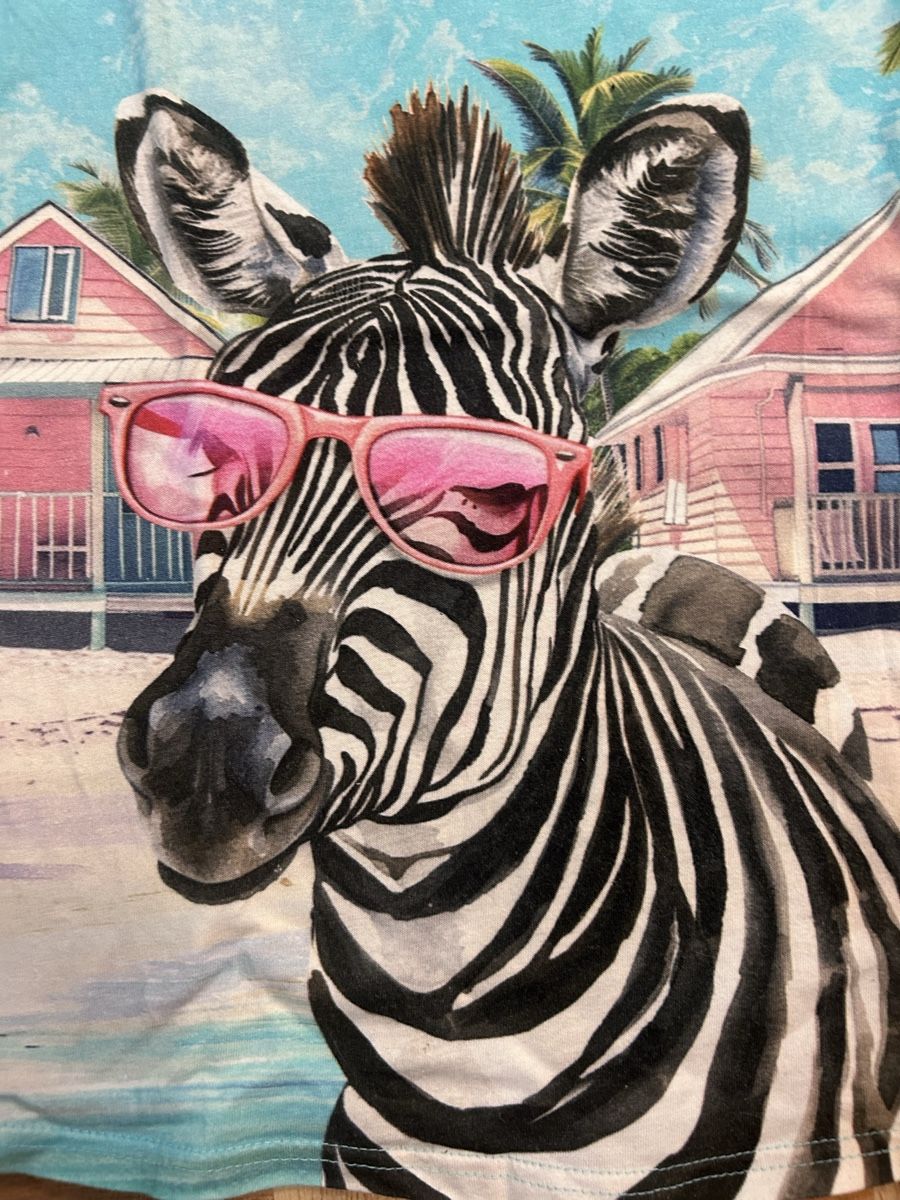 Blusen, T-Shirts & Tops: Kuules Zebra T-Shirt 134/140 – Gebraucht aus Jona von Tidy76 1