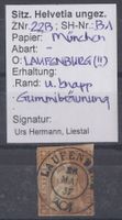 Strubel 22B - Kurzattest Urs Hermann