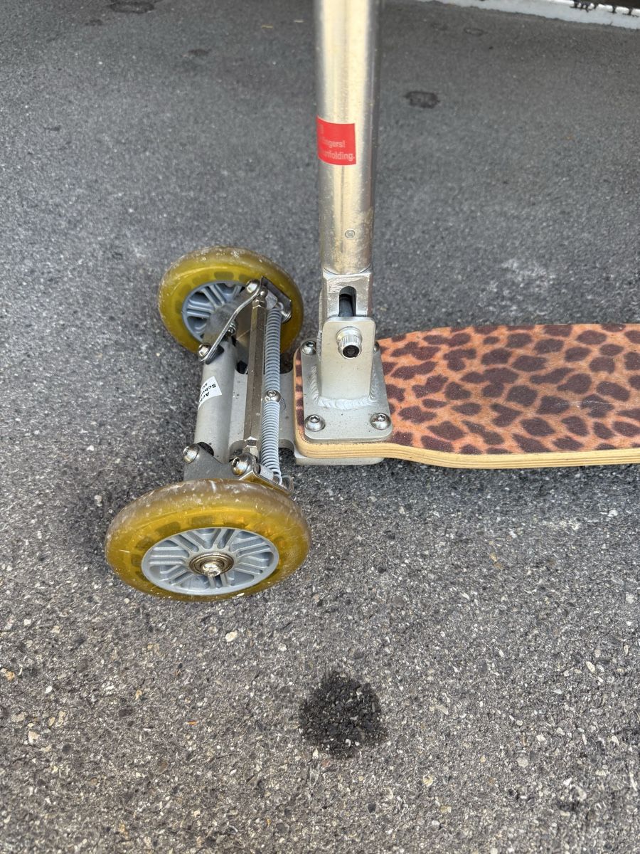 Fahrzeuge für Kinder: Kinderroller mit Leo-Muster, 3 Räder - Top Zustand! – Gebraucht aus Bern von Spomme 2