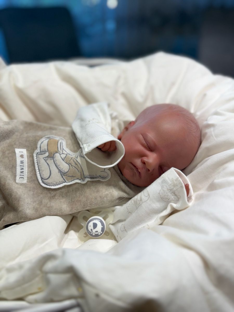 Reborn Puppen: Reborn – Neu (gemäss Beschreibung) aus Unterentfelden von van_m8g7 1