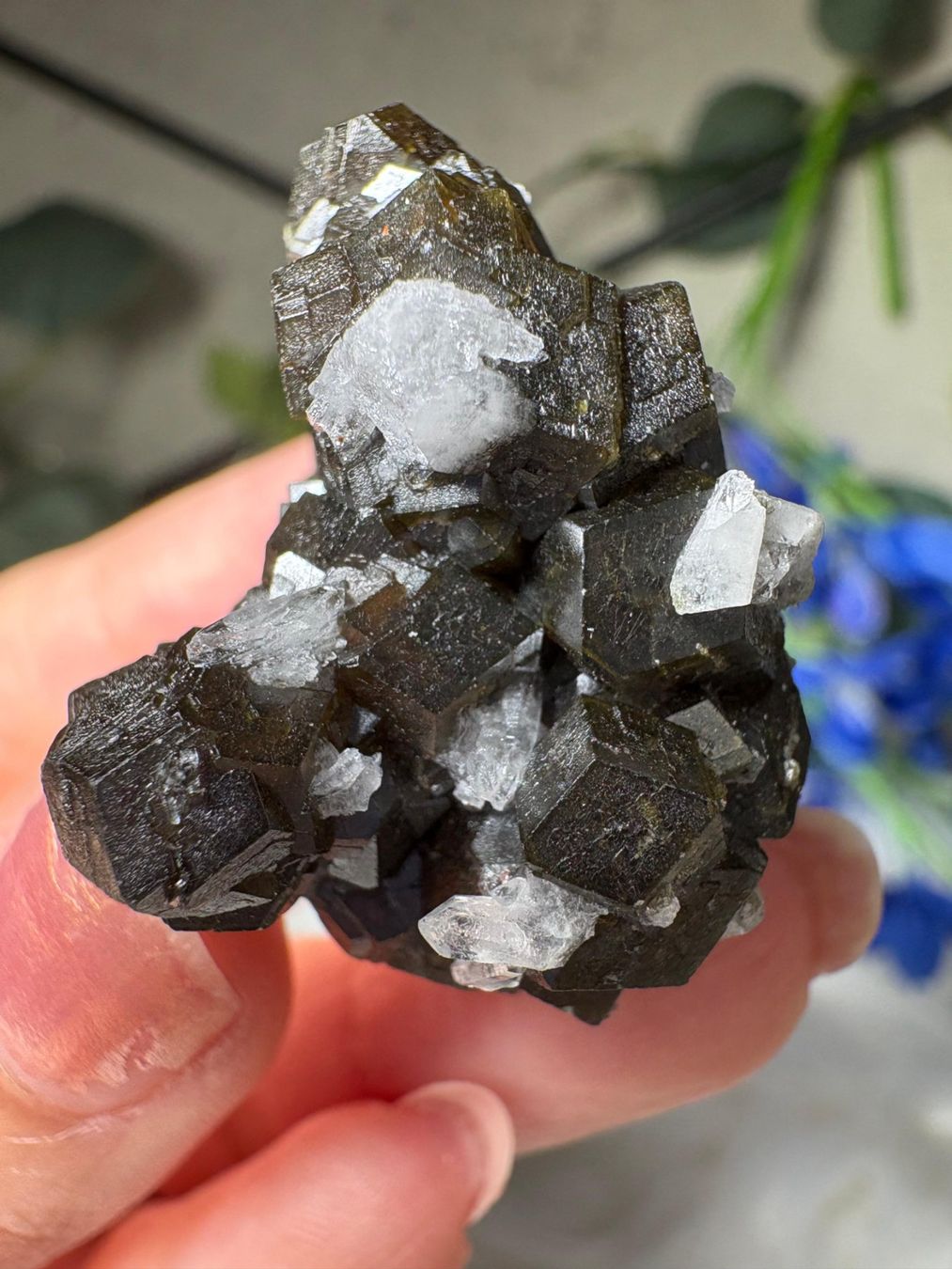 Minerali & Pietre curative: Grüner Granat mit Quarz – Nuovo (secondo la descrizione) da Neuheim venduto da m.hald 4