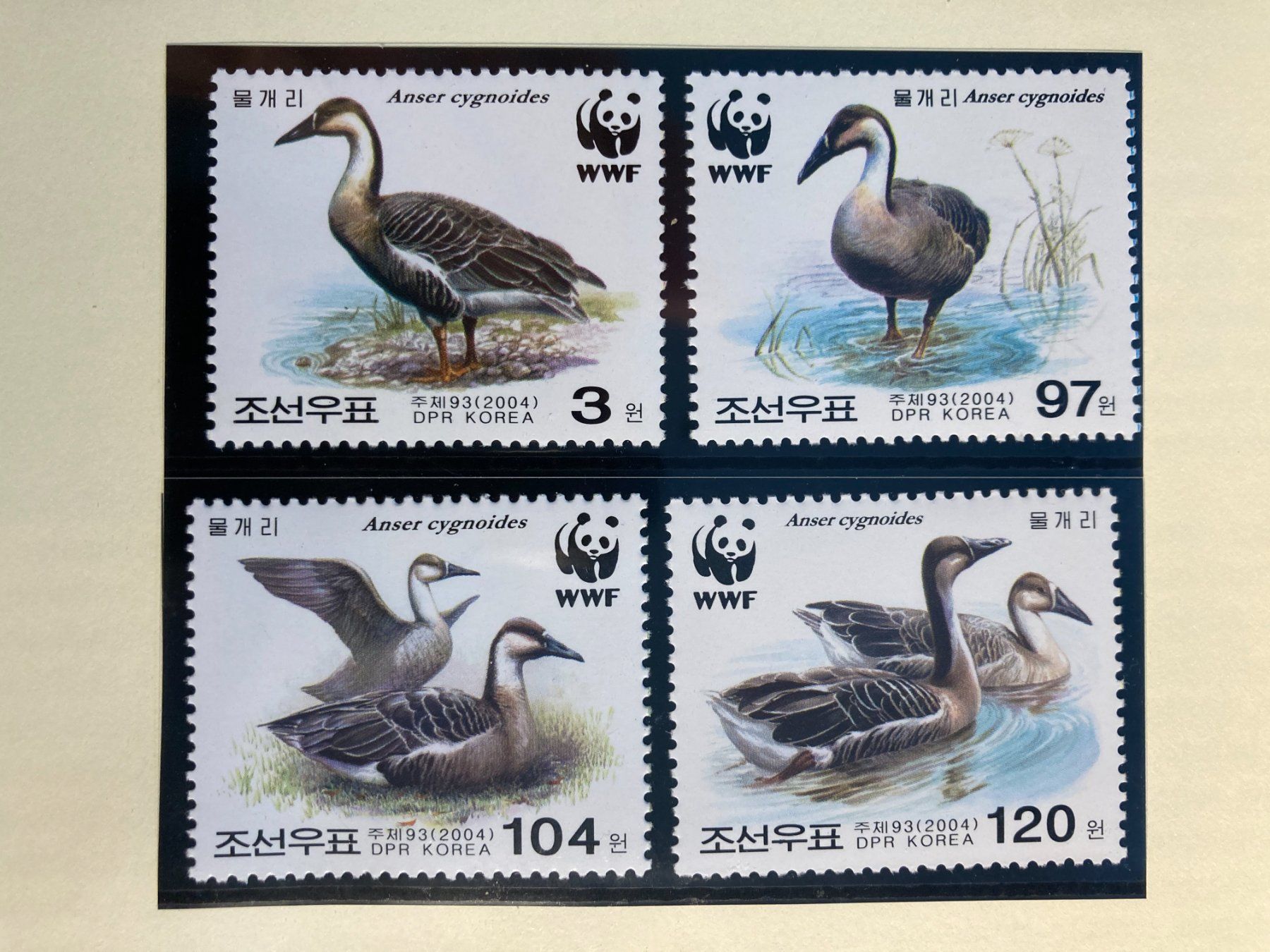 Tutti i francobolli: WWF Korea 2004 Satz Schwanengans postfrisch – Nuovo (secondo la descrizione) da Liestal venduto da schnueps