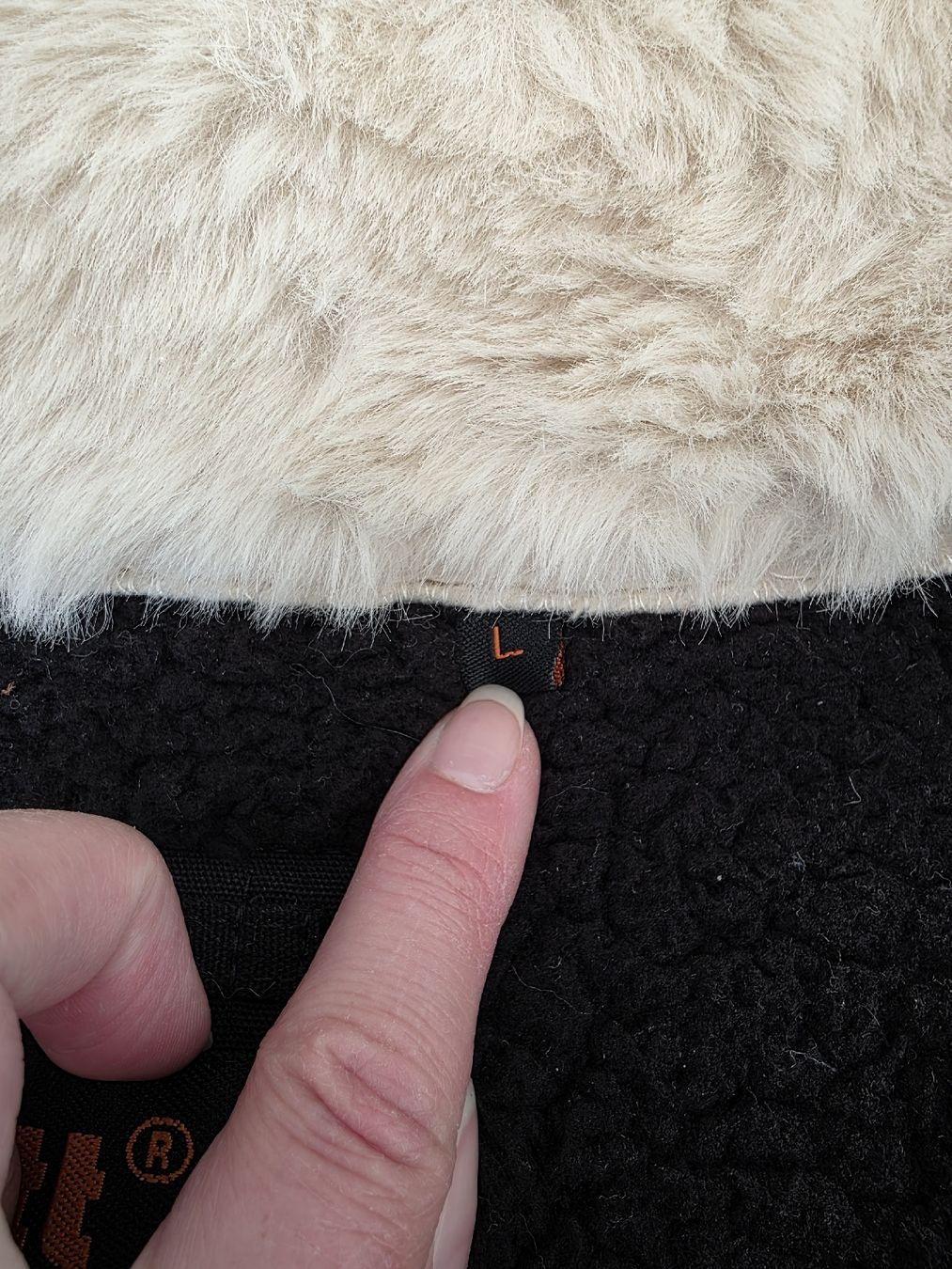Schott Giacche: Schott NYC Übergangsjacke, Gr. L, neuwertig – Nuovo (secondo la descrizione) da Kerns venduto da d_s_obwalden 9