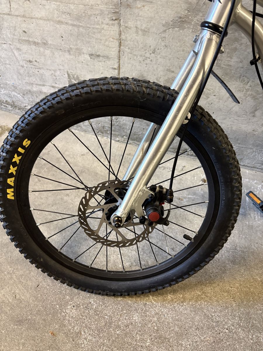 Early Rider Velos: Early Rider 20 Zoll  – Gebraucht aus Zürich von cmon.aleks 1