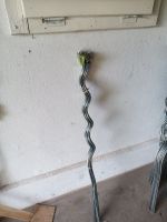 Pflanzstab, Rankhilfe, Tomatenstab, Tomaten  mehrere 1,20m-