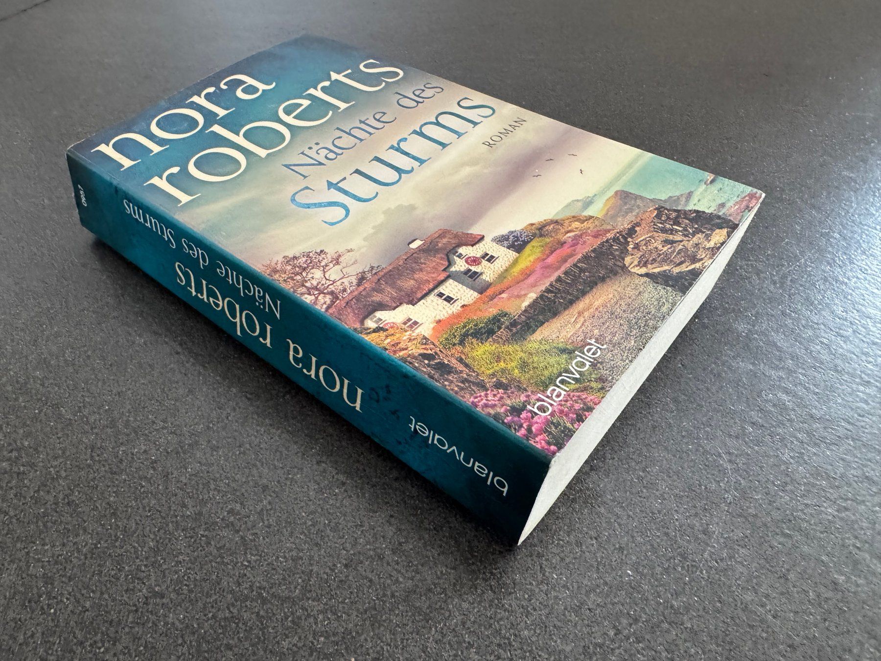 Libri: Nora Roberts "Nächte des Sturms" Roman – Usato da Fribourg venduto da tschjoly 2